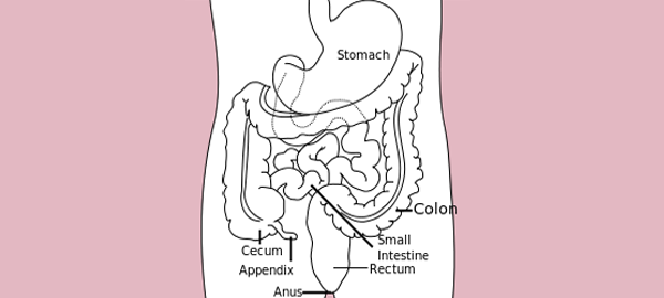 Small Bowell Surgery