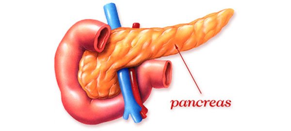Pancreatic Surgery