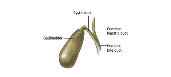 Gall Bladder Surgery